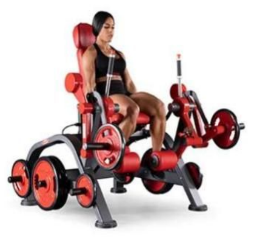 https://locfit.fsys.app.br/imagens/semproduto.png